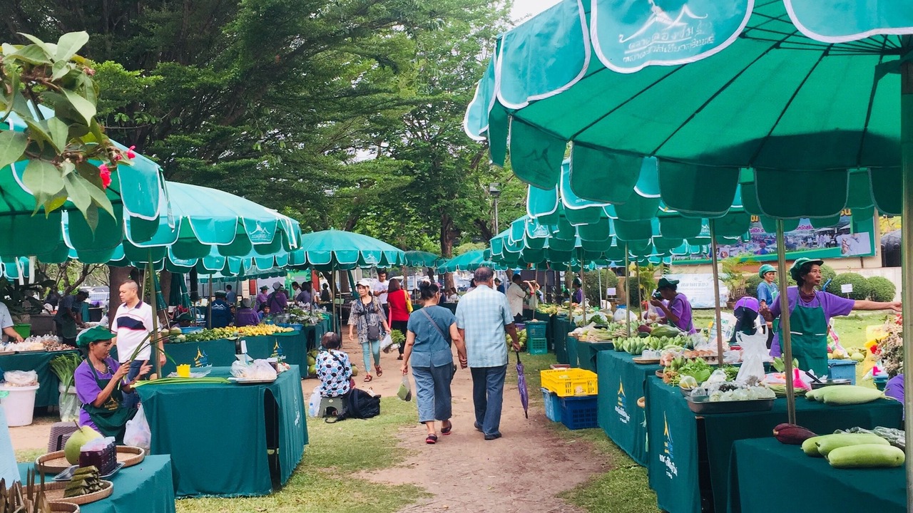 Photo of Others in Surin