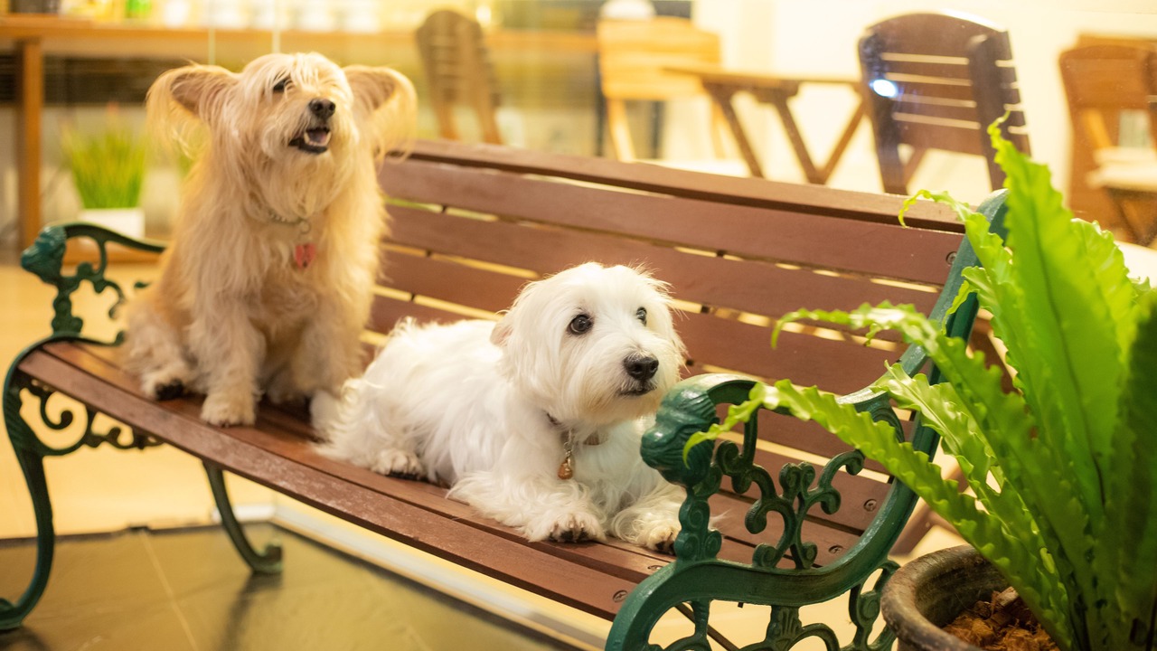 Photo of Patio Balcony in Chumphon
