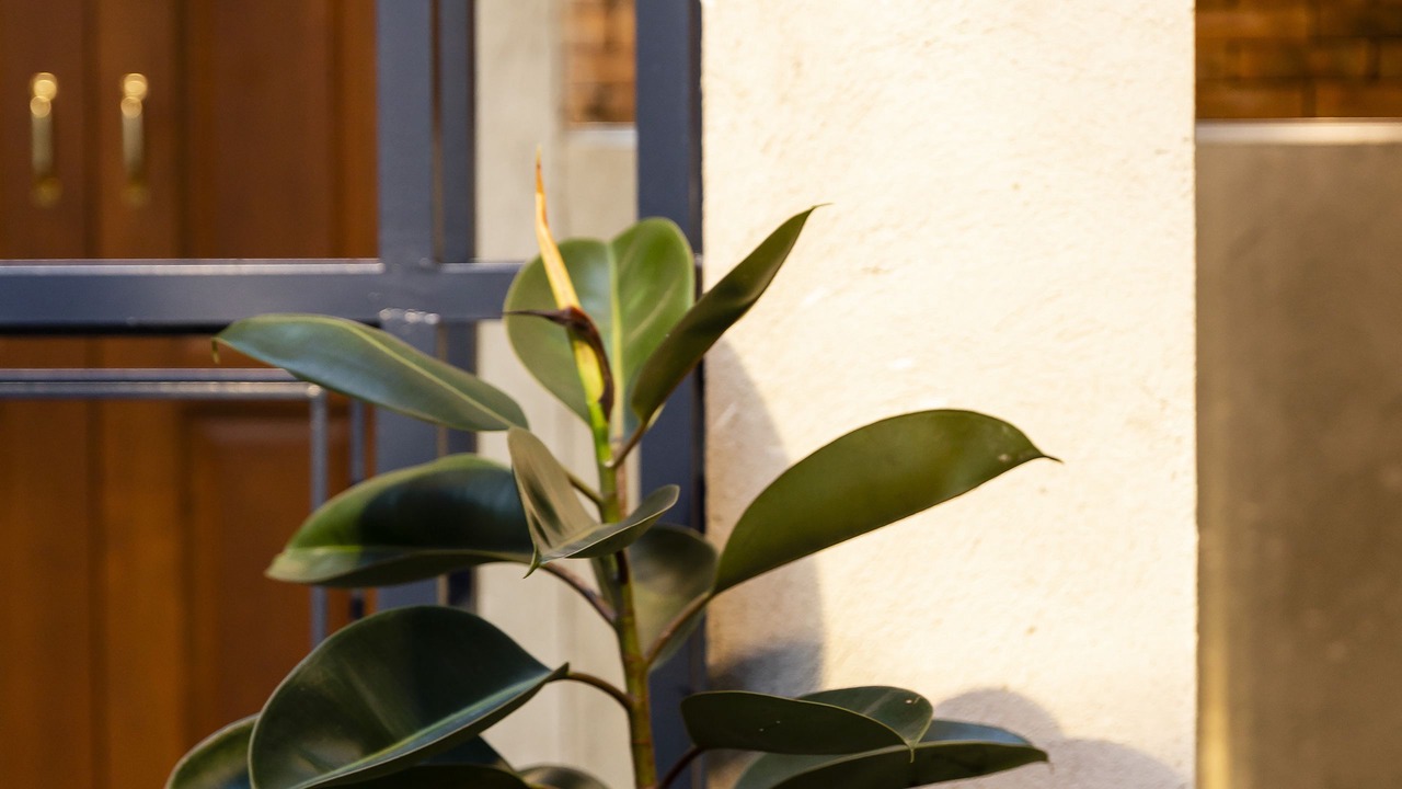 Photo of Outdoor in Old City