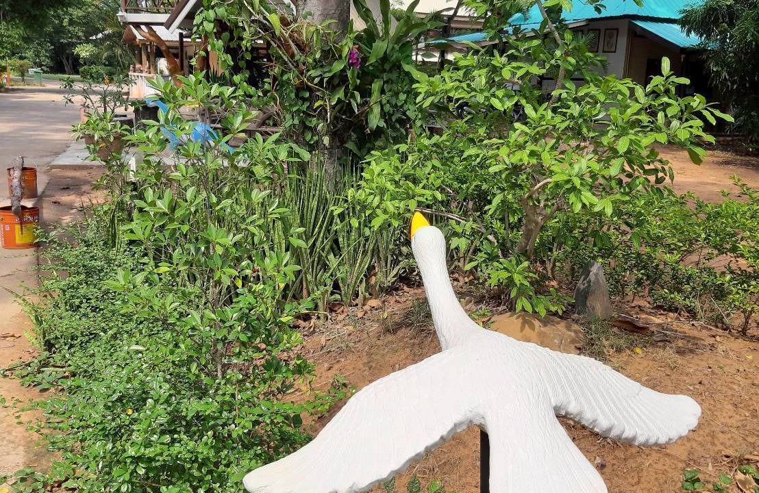 Photo of Outdoor in Roi Et