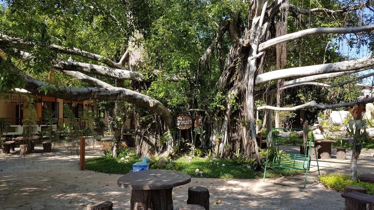 Photo of Outdoor in Roi Et
