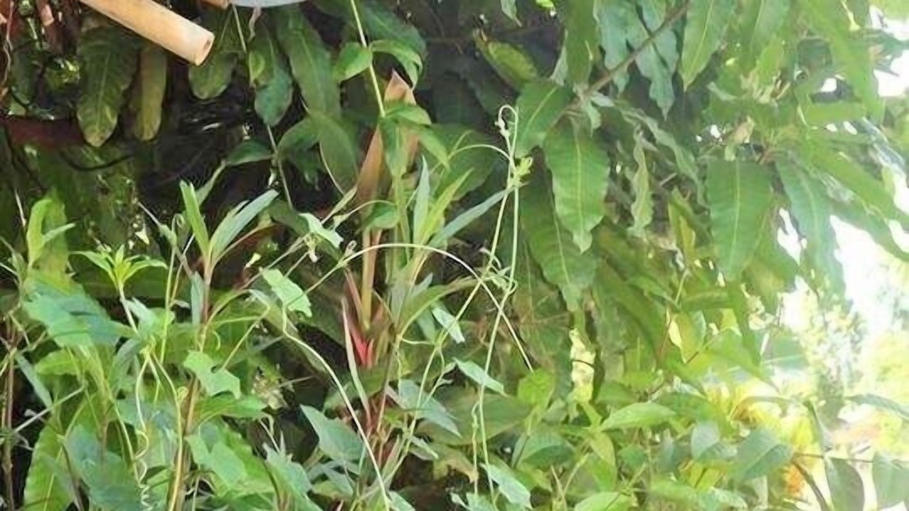 Photo of Outdoor in Sangkhla Buri