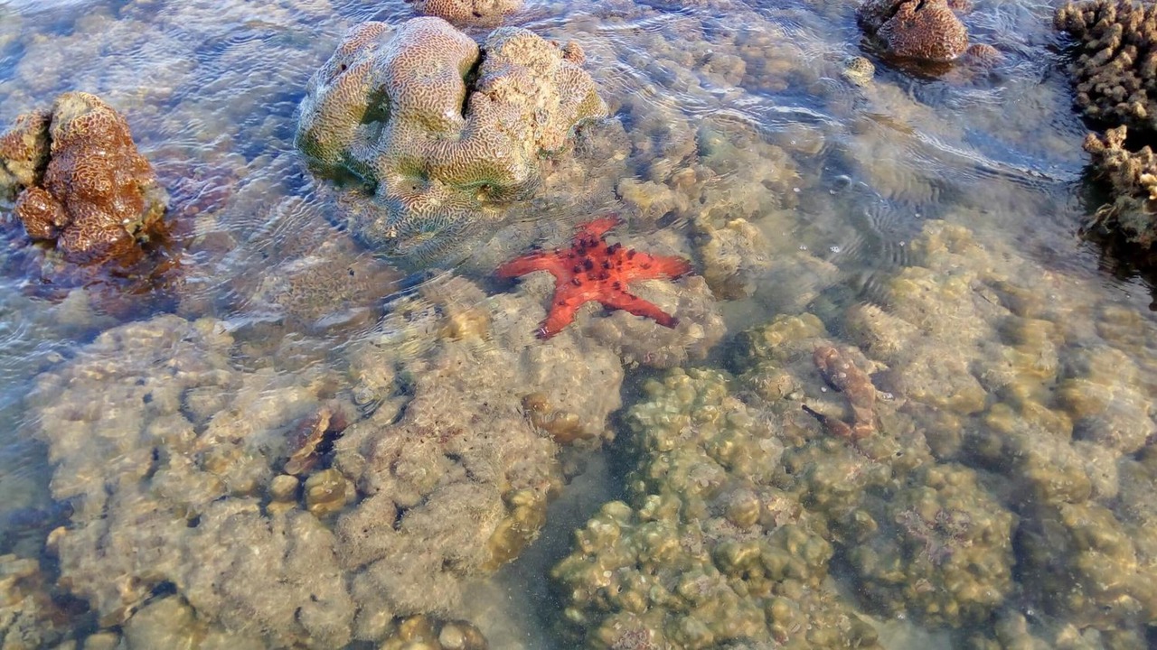 Photo of Outdoor in Ko Mook