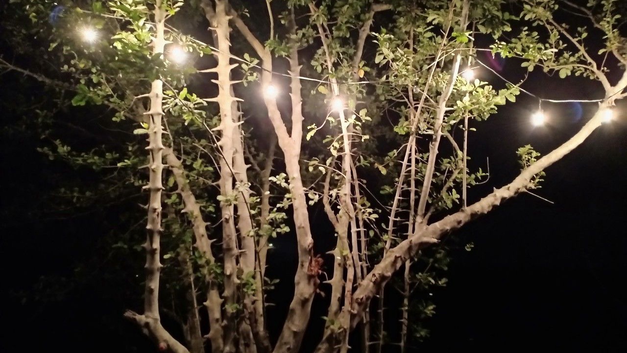 Photo of Outdoor in Nakhon Si Thammarat