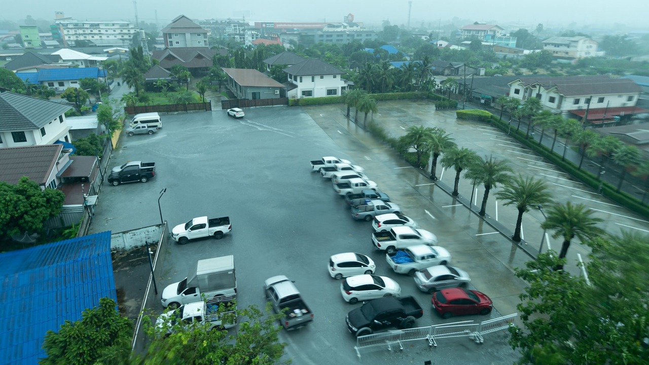 Photo of Others in Nong Tamlueng