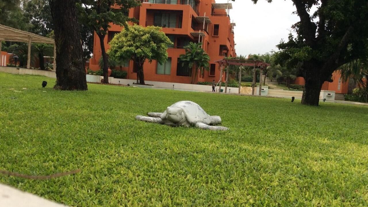 Photo of Outdoor in Khao Tao