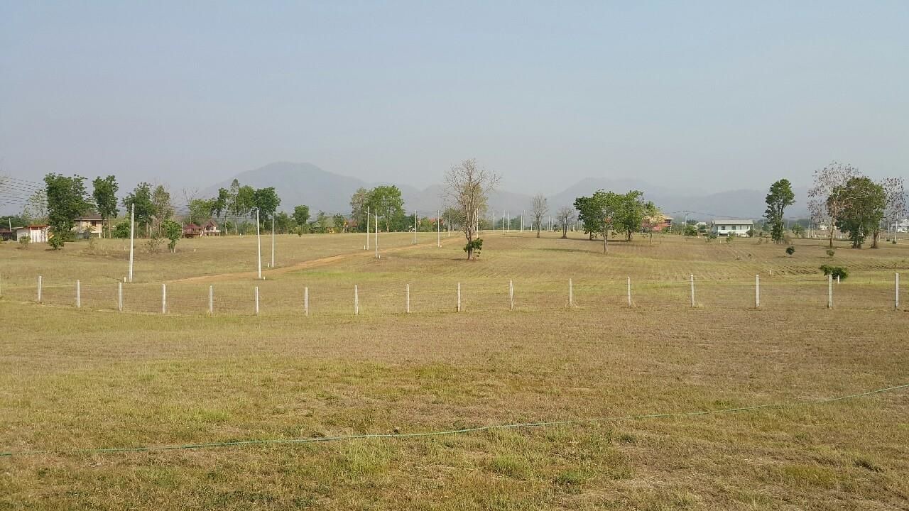 Photo of Others in Nong Phai