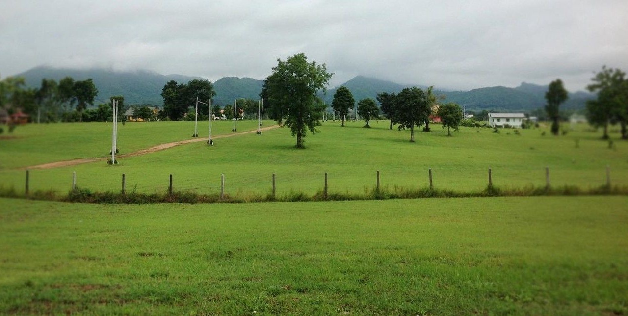Photo of Others in Nong Phai