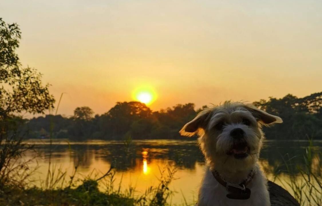 Photo of Outdoor in Nakhon Chum