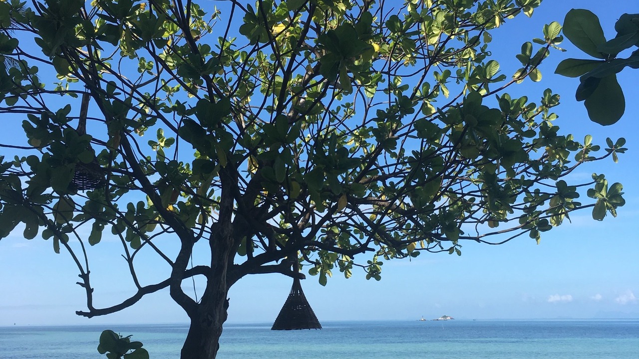 Photo of Others in Ko Pha-ngan