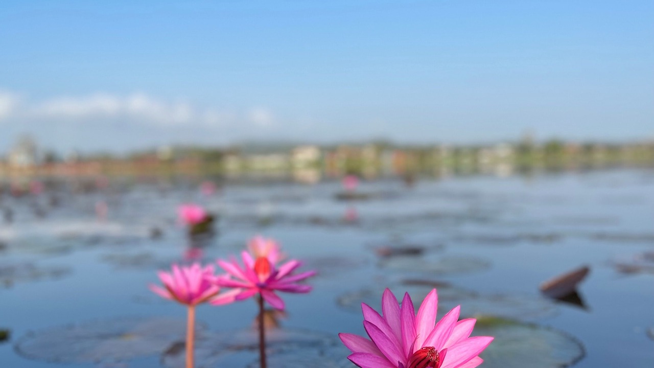 Photo of Others in Khuan Khanun