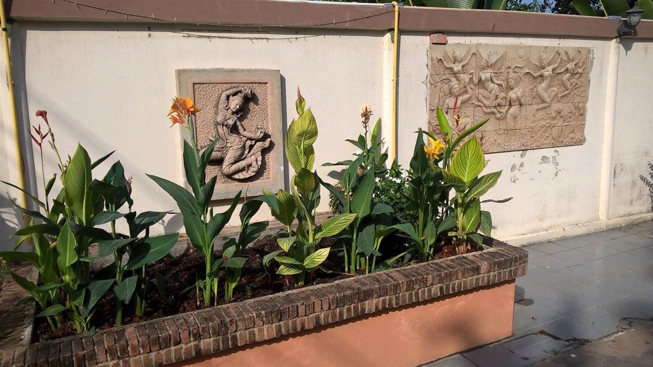 Photo of Outdoor in Samphao Lom