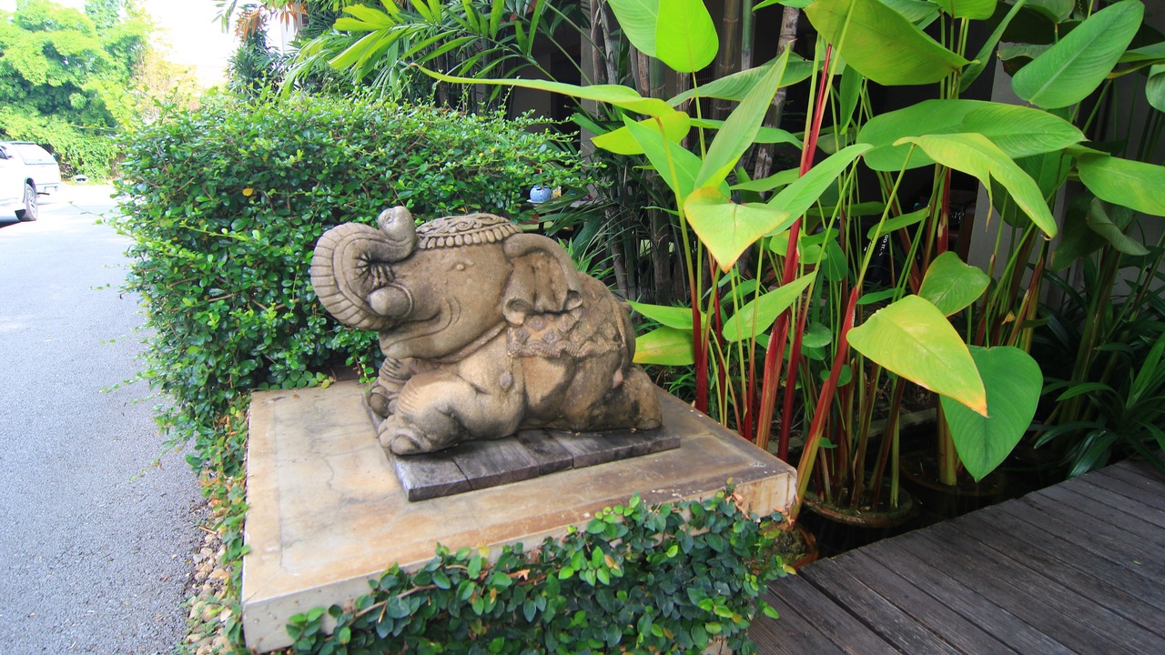 Photo of Outdoor in Mueang Nga