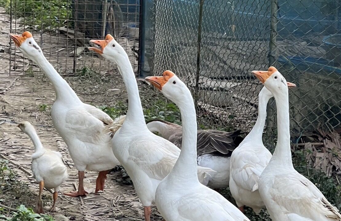 Photo of Outdoor in Chumphon