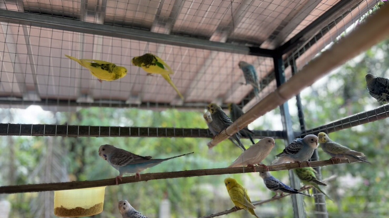 Photo of Others in Chumphon