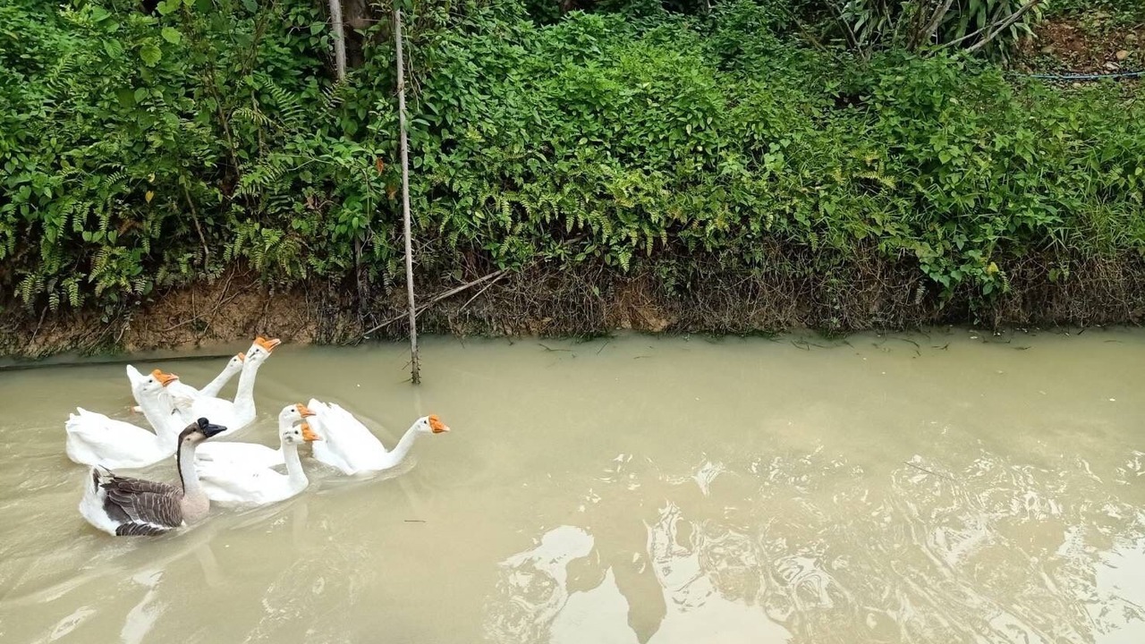 Photo of Outdoor in Chumphon
