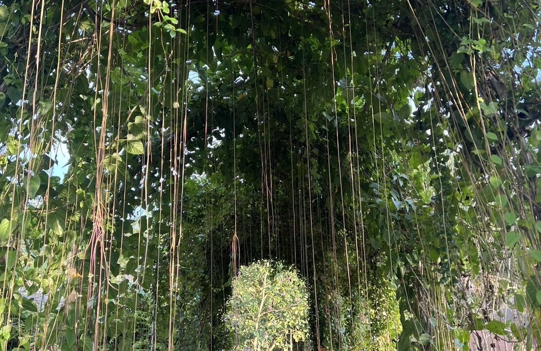 Photo of Others in Chumphon