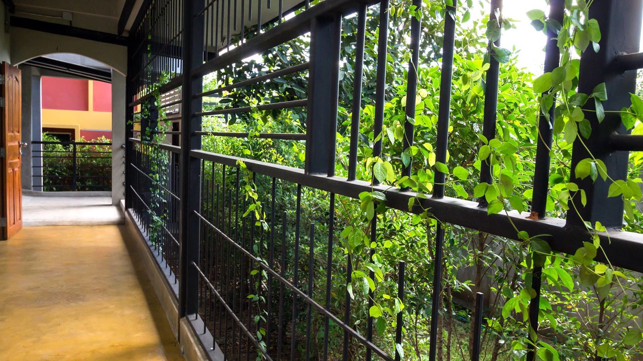 Photo of Outdoor in Nongbua Lamphu