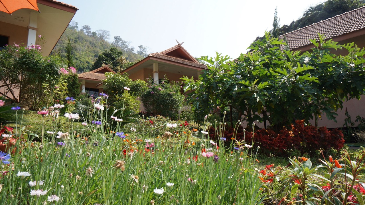 Photo of Outdoor in Pong Yaeng