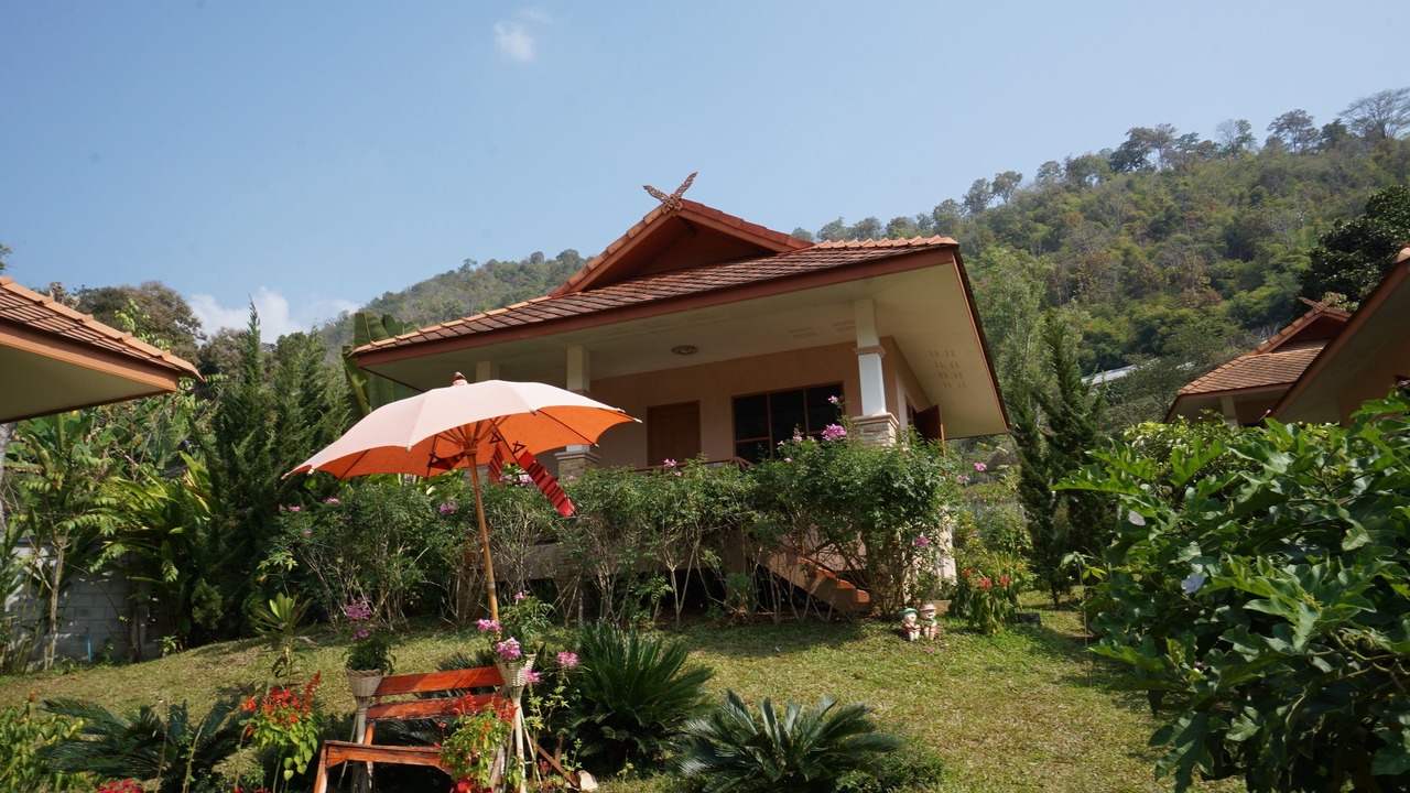 Photo of Outdoor in Pong Yaeng