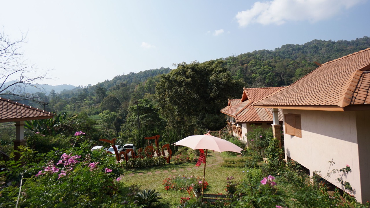 Photo of Outdoor in Pong Yaeng