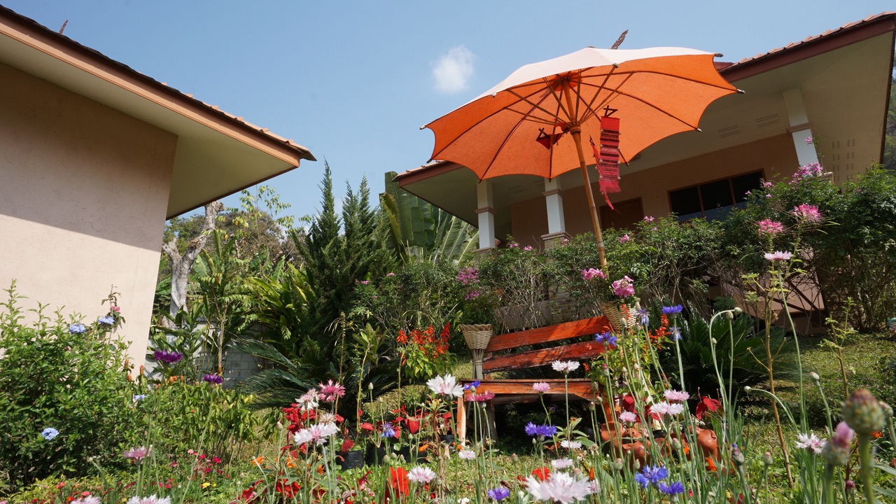 Photo of Outdoor in Pong Yaeng