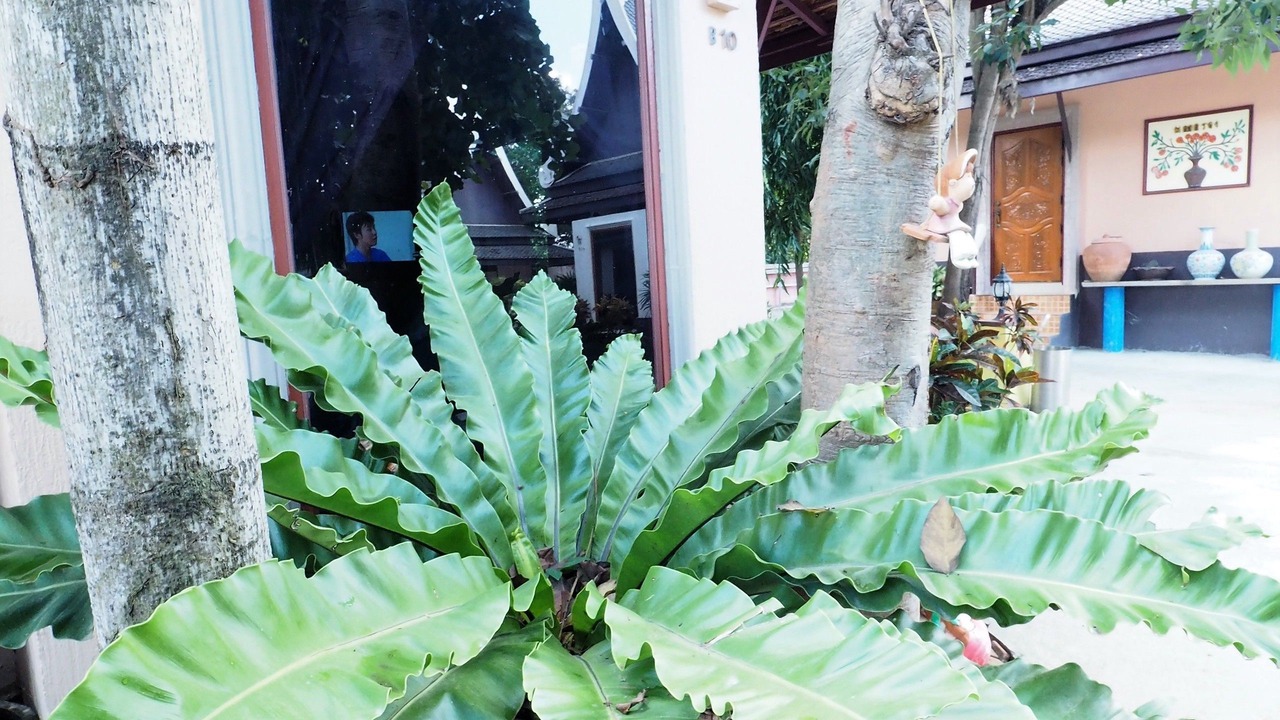 Photo of Outdoor in Bang Pahan