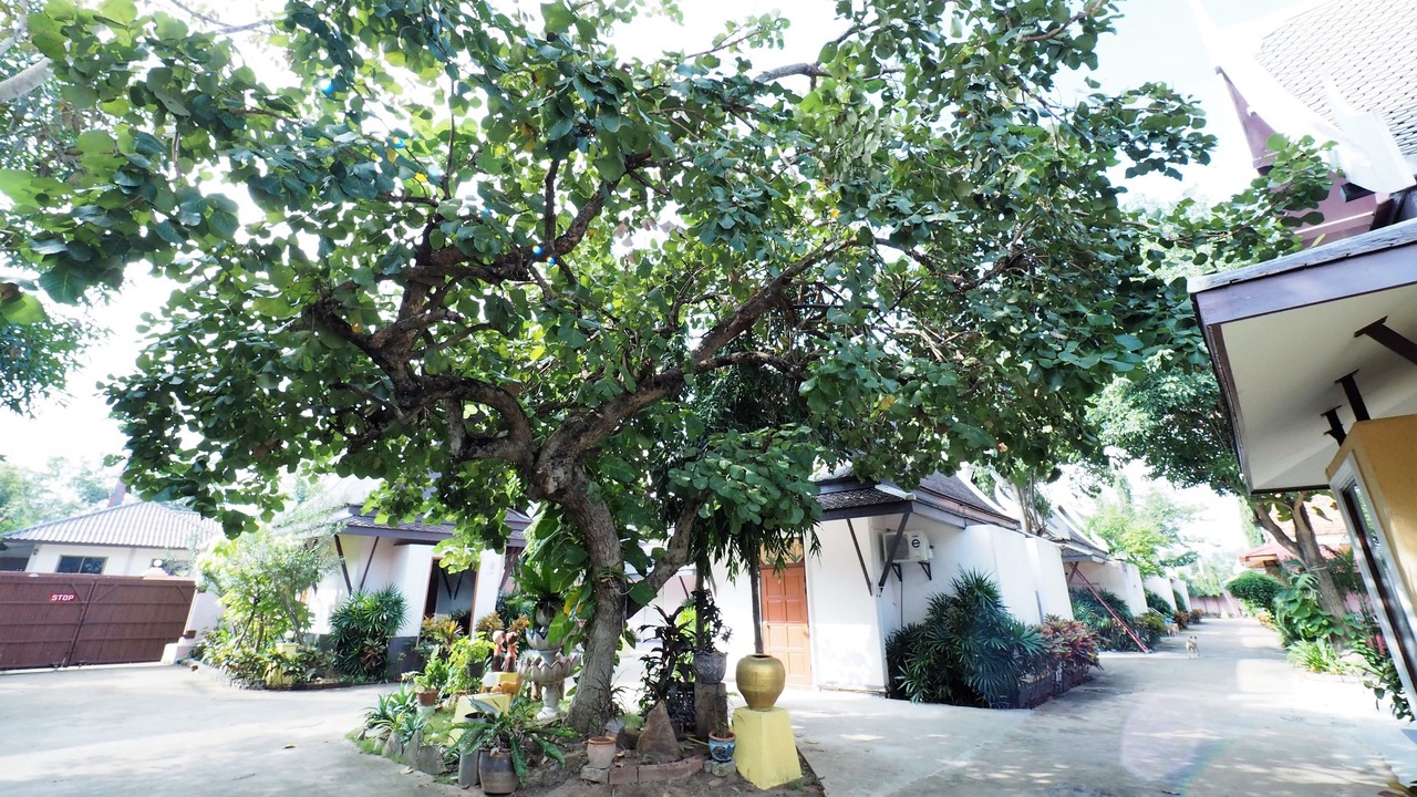 Photo of Outdoor in Bang Pahan