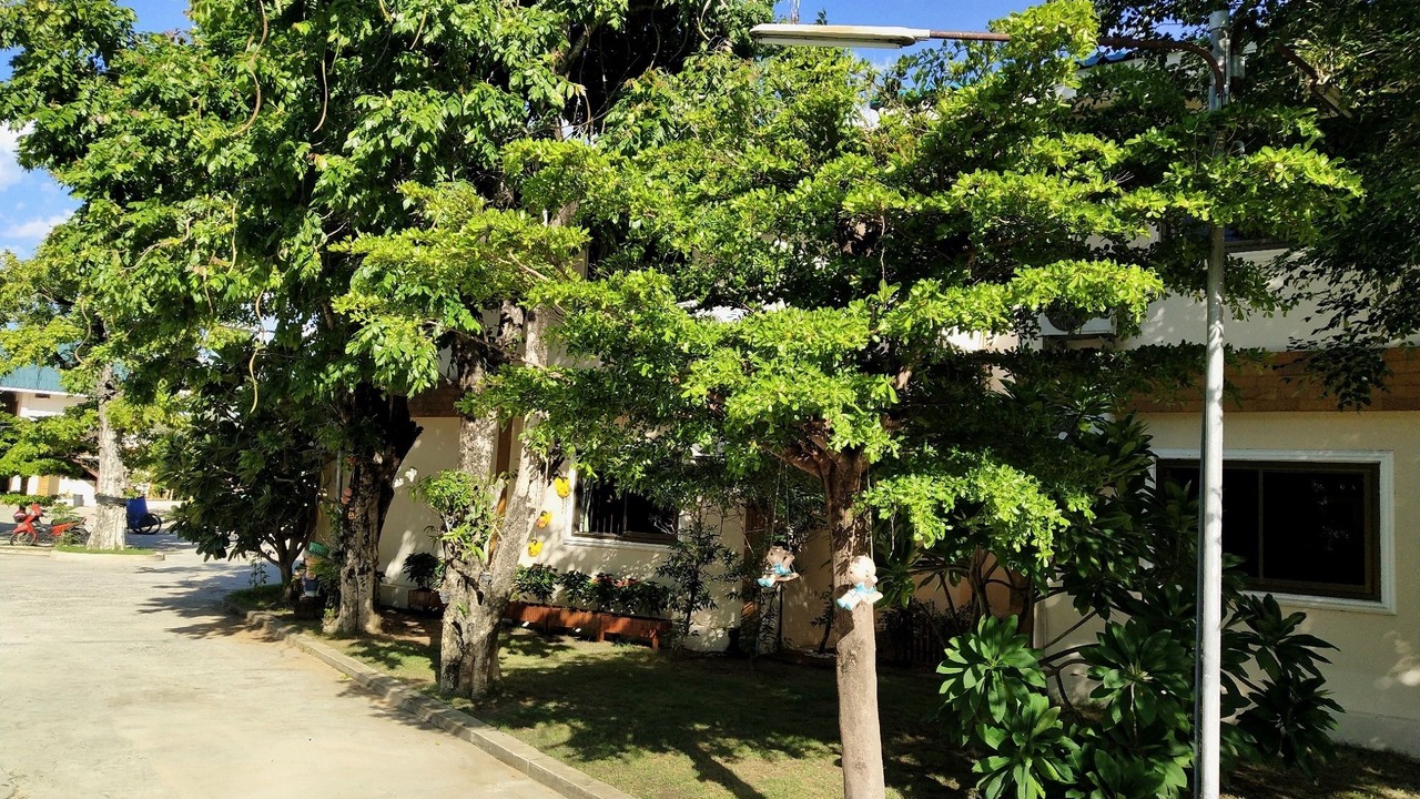 Photo of Outdoor in Nakhon Ratchasima