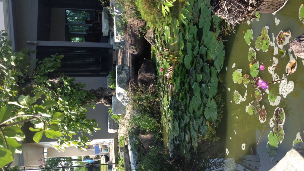 Photo of Outdoor in Nakhon Ratchasima
