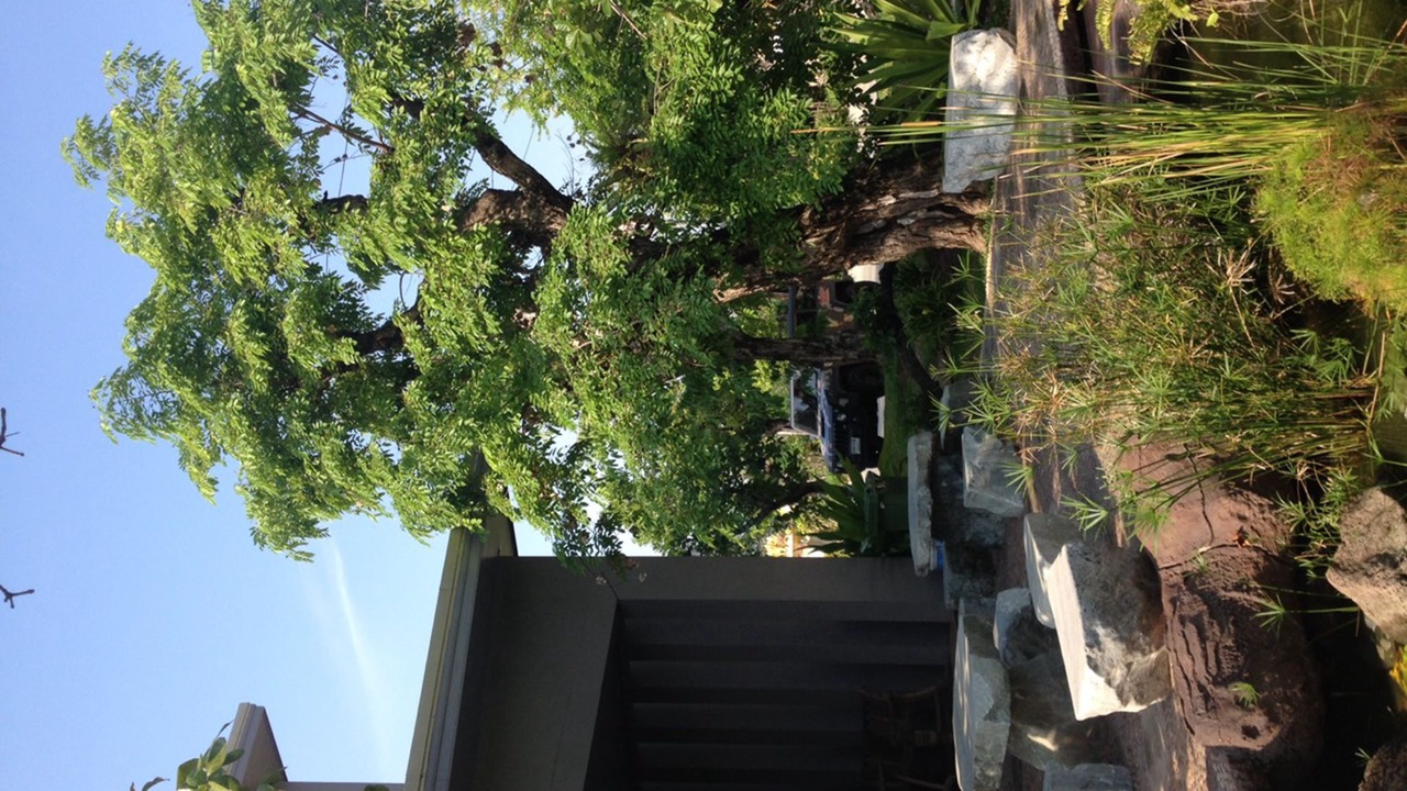 Photo of Outdoor in Nakhon Ratchasima