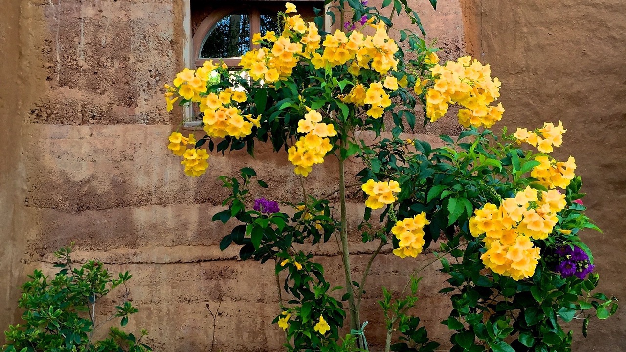 Photo of Outdoor in Pak Nam Pran