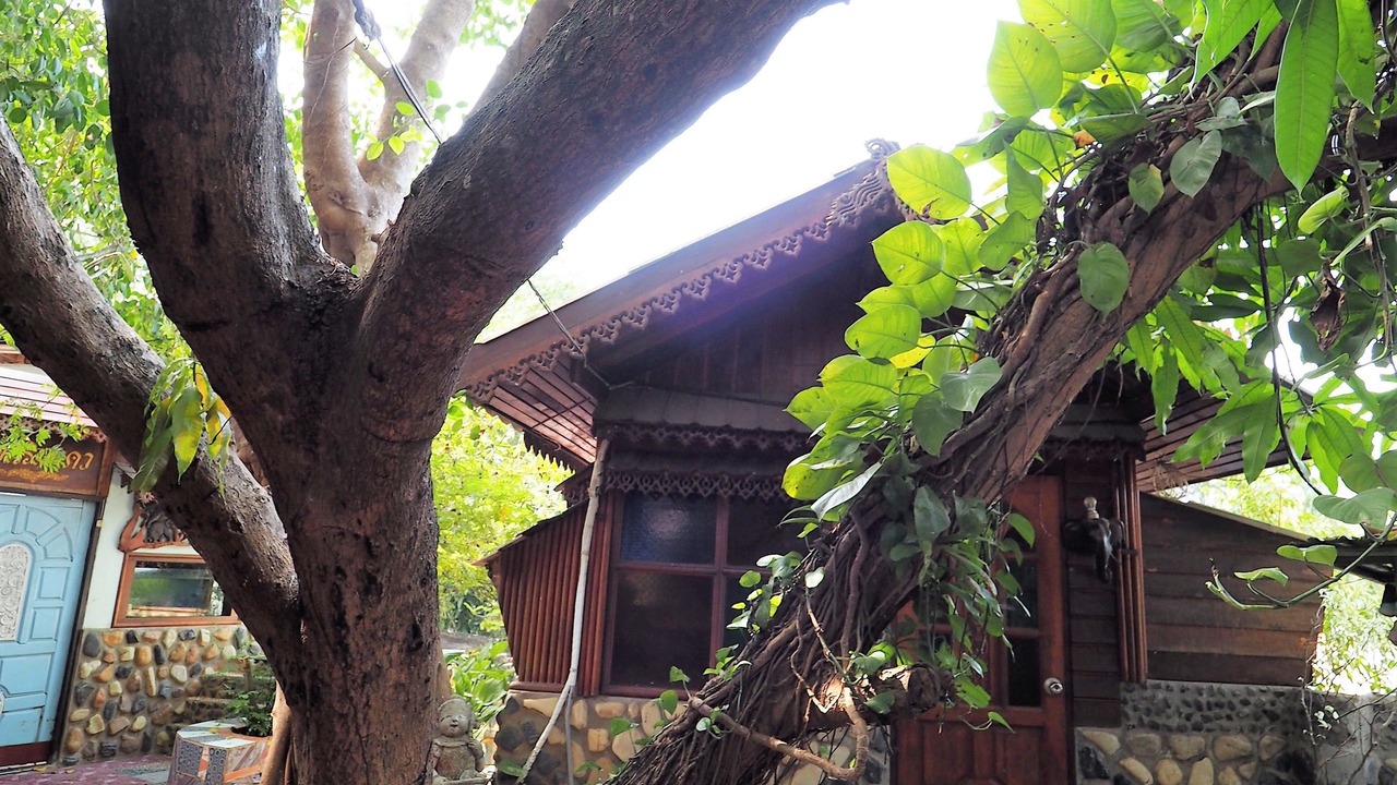 Photo of Outdoor in Tha Sao