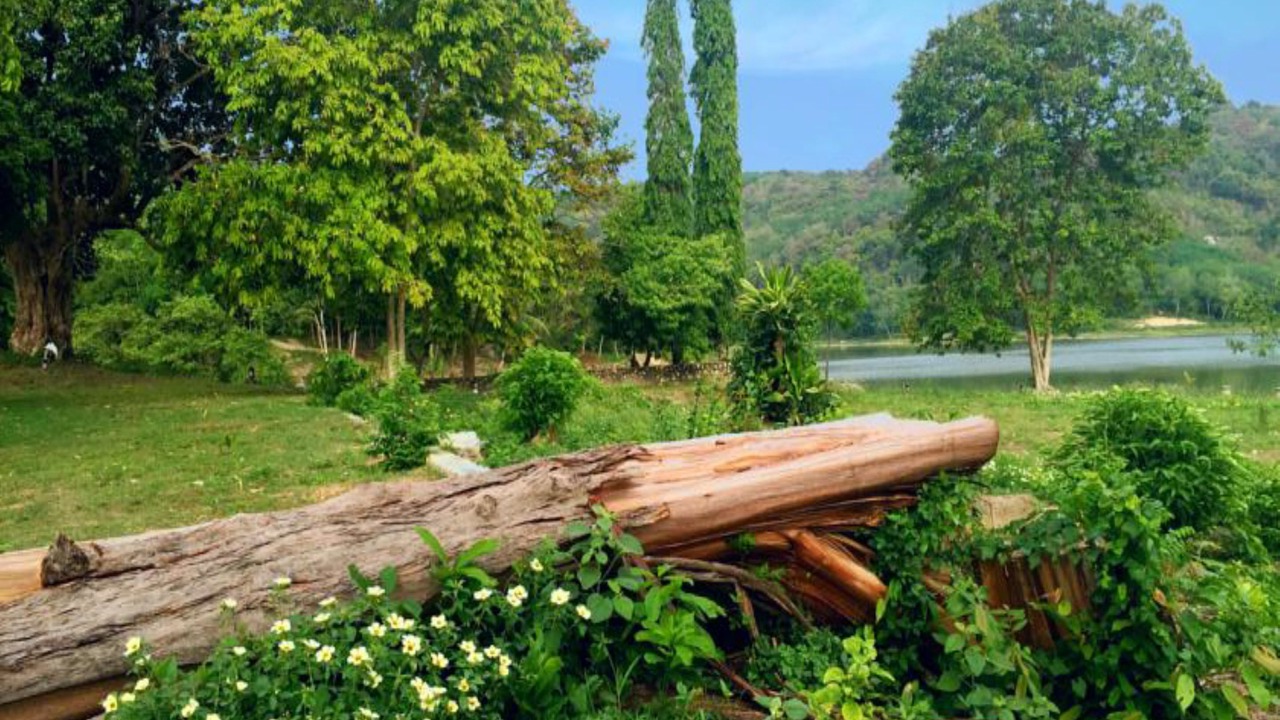 Photo of Outdoor in Khao Rup Chang