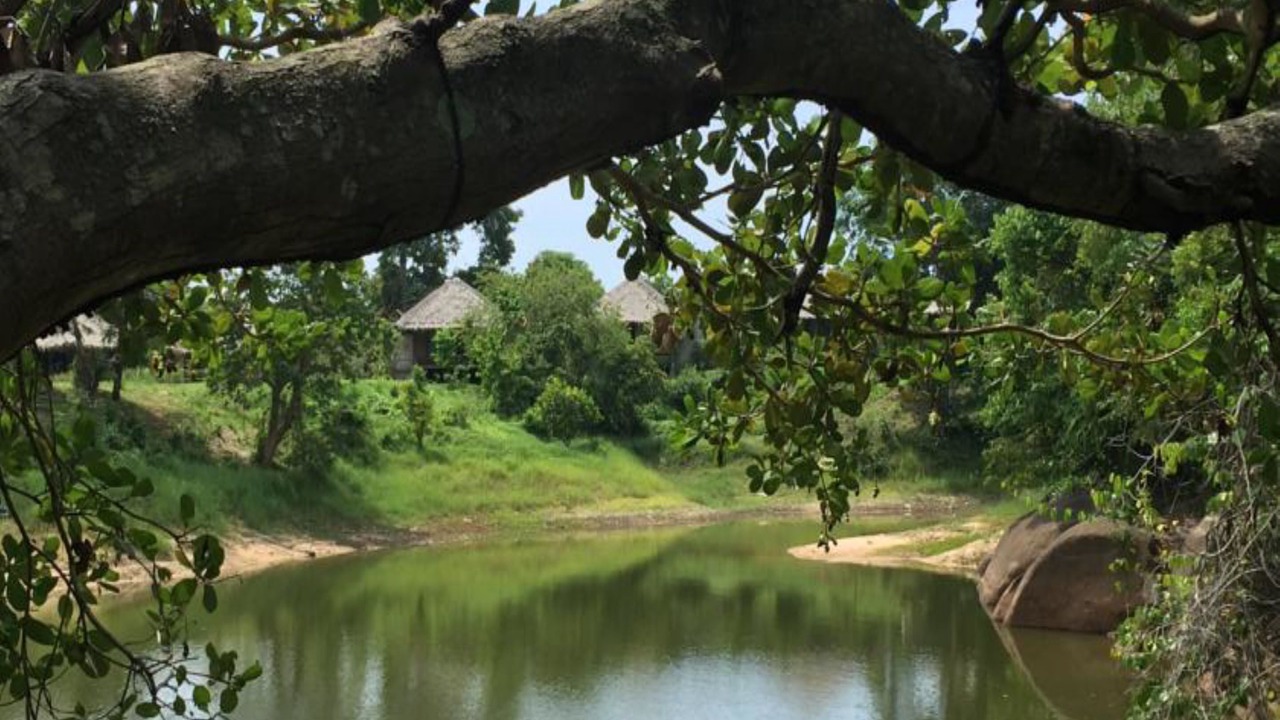 Photo of Others in Khao Rup Chang