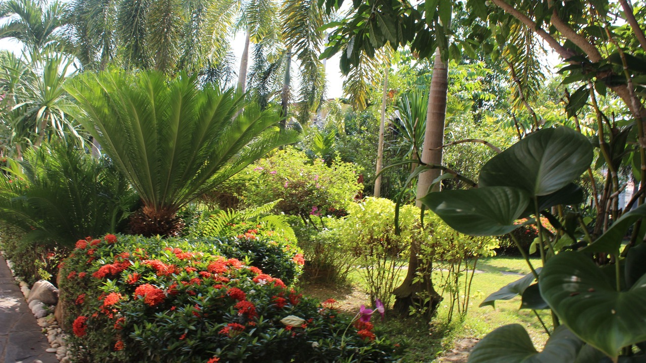 Photo of Outdoor in Surin