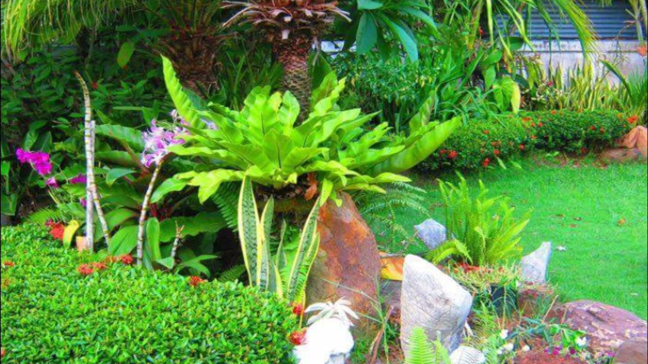 Photo of Outdoor in Surin