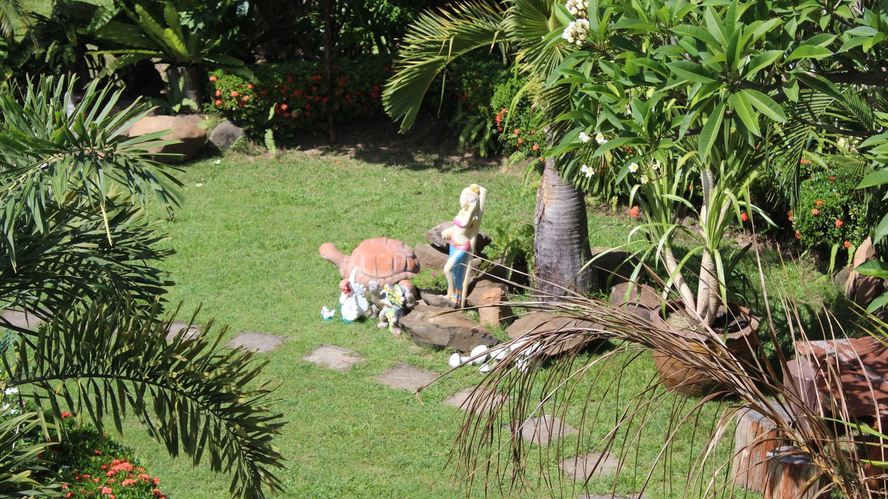 Photo of Others in Surin