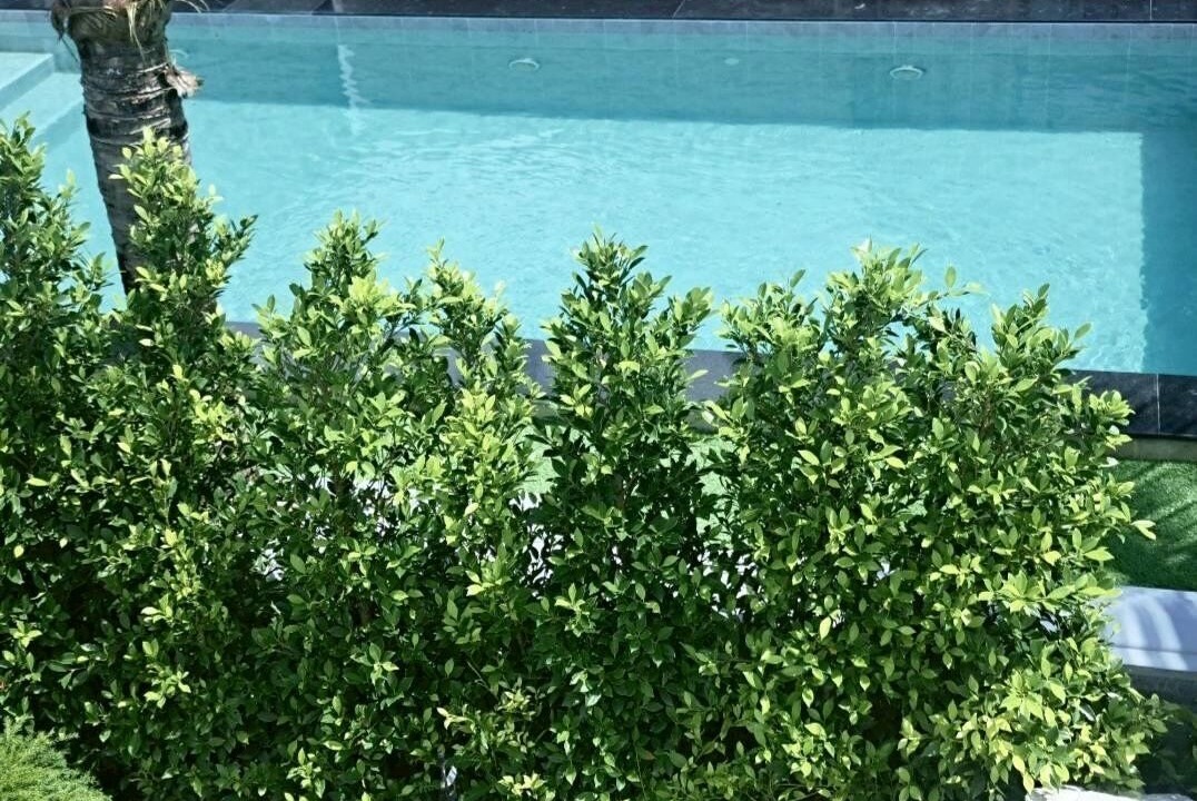 Photo of Outdoor in Trang