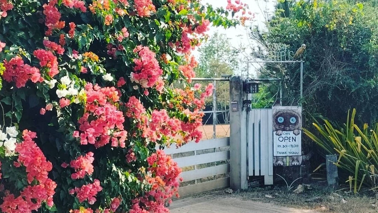 Photo of Patio Balcony in Chiang Dao