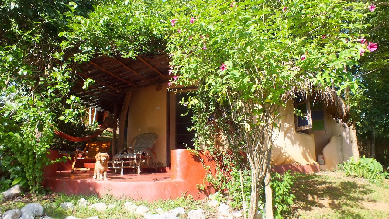 Photo of Bedroom in Chiang Dao