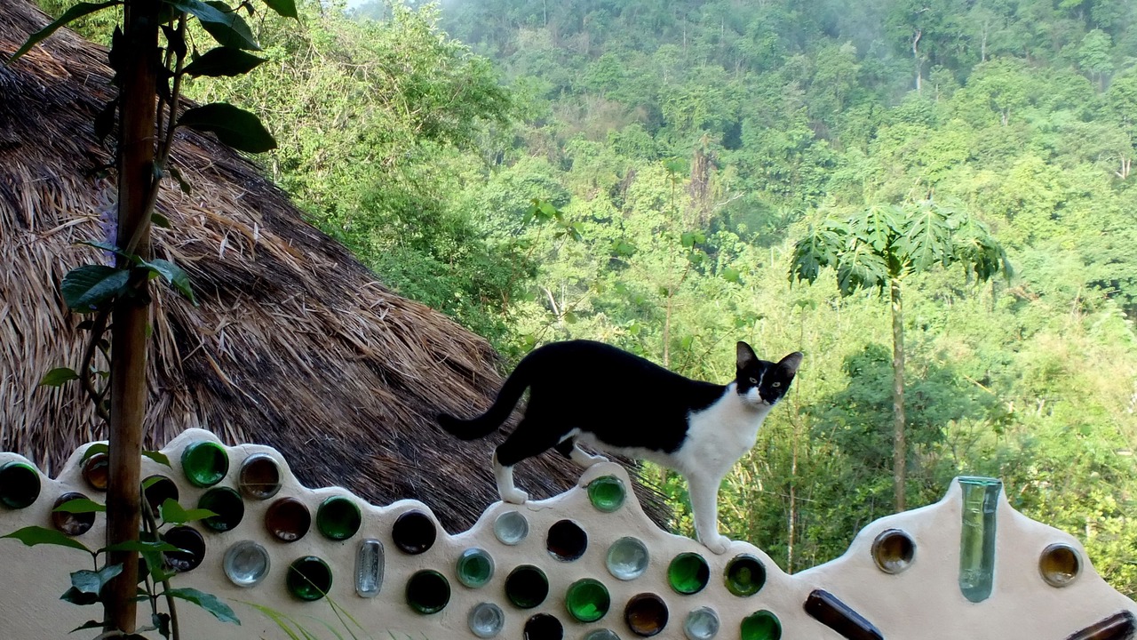 Photo of Outdoor in Chiang Dao