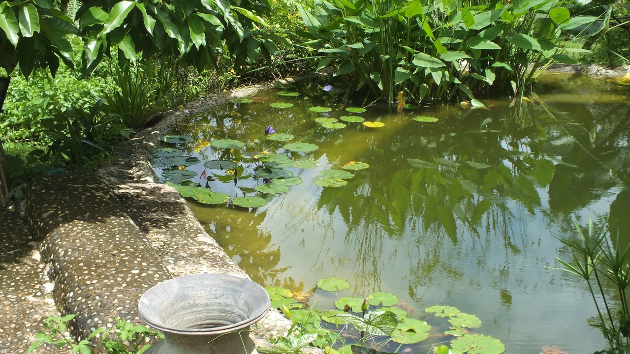 Photo of Outdoor in Chiang Dao