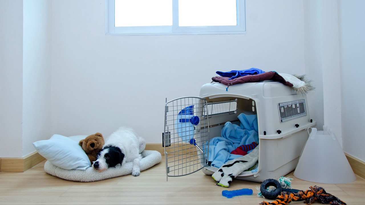 Photo of Bedroom in Bang Wa