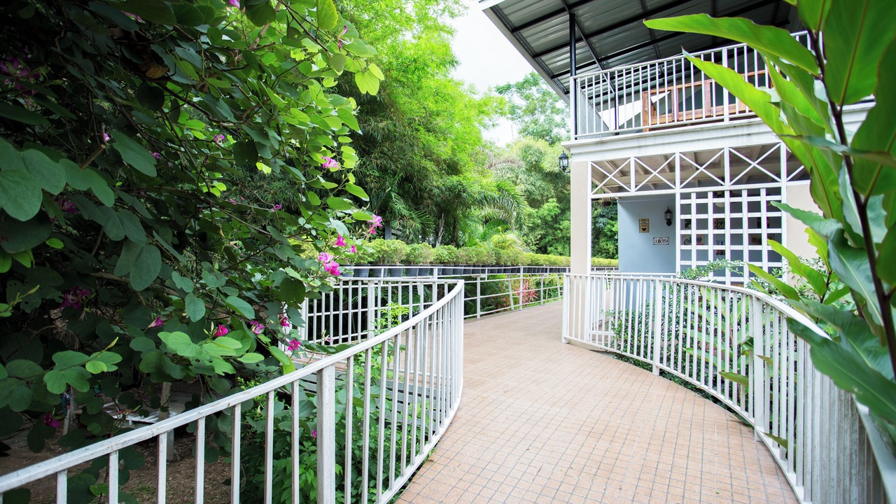 Photo of Outdoor in Pak Chong