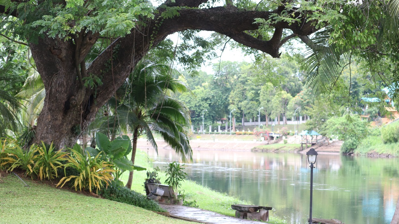 Photo of Others in Nong Bua