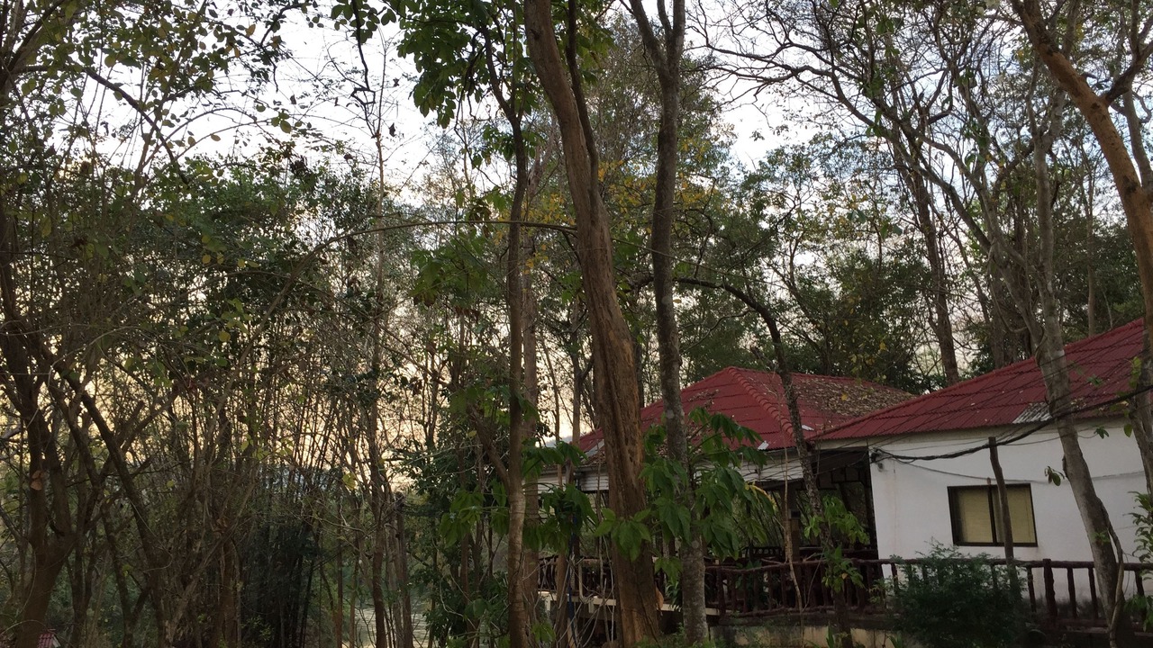 Photo of Outdoor in Sai Yok