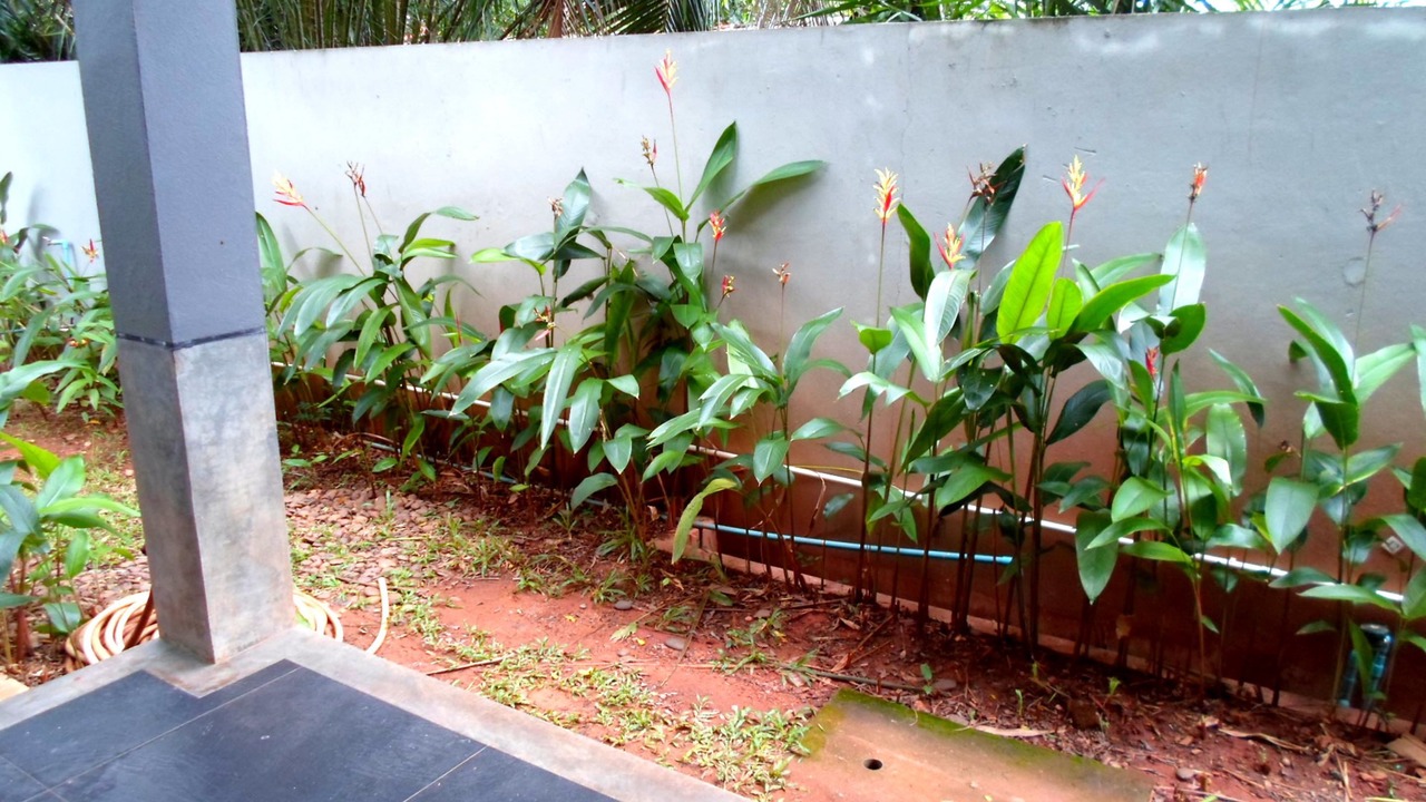 Photo of Outdoor in Makham Tia