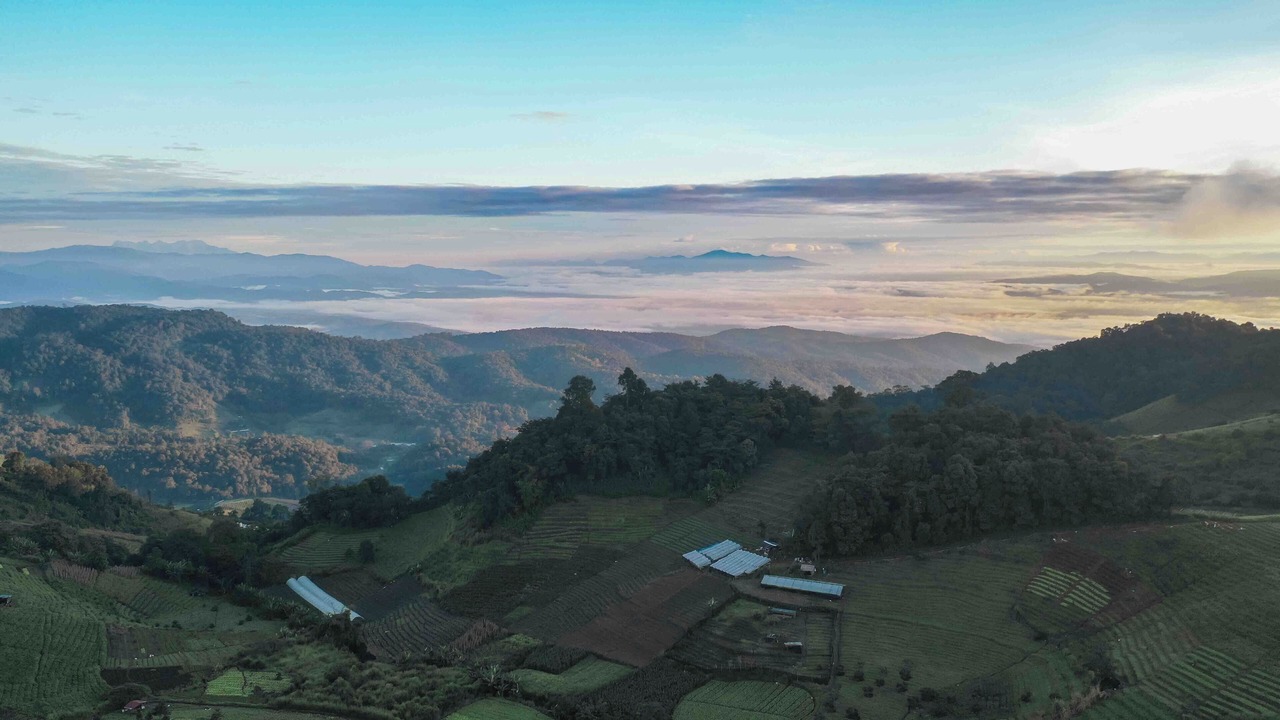 Photo of Others in Mae Rim