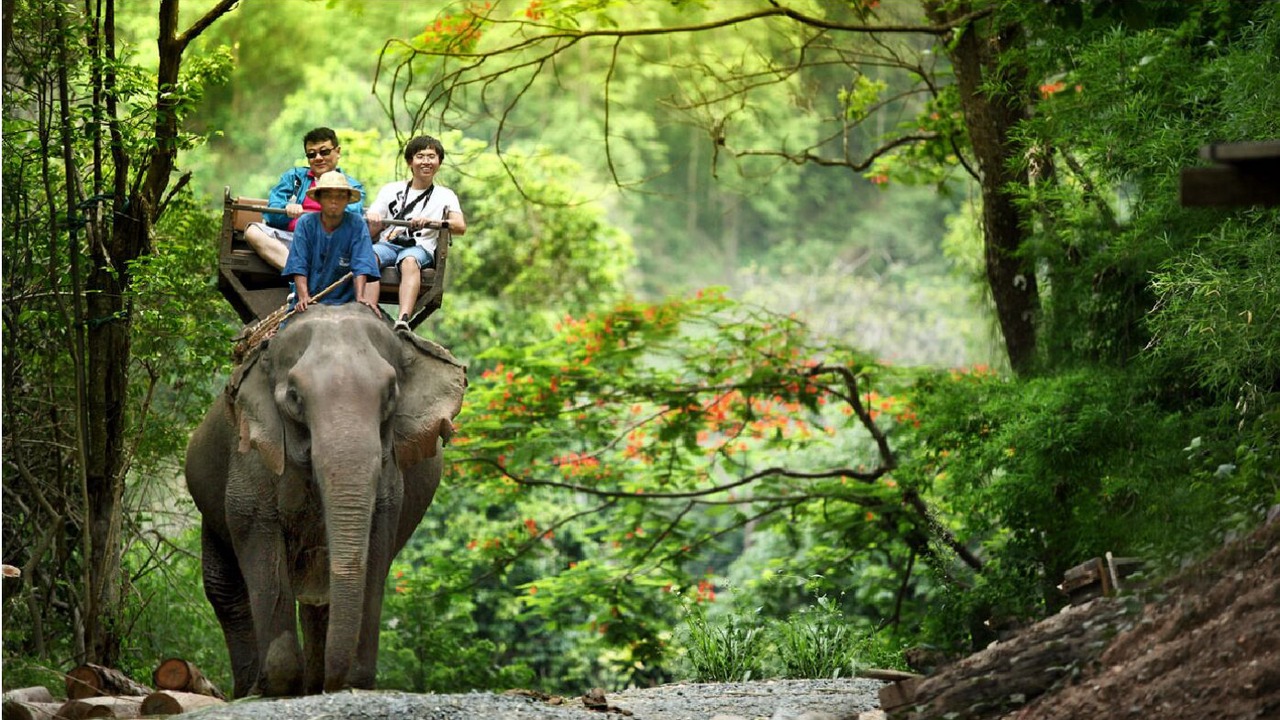 Photo of Others in Mae Rim